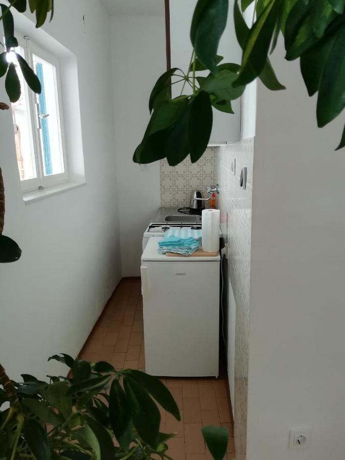 וודיצה Apartman Zana מראה חיצוני תמונה